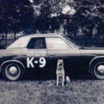 OtherpoliceFolder – k9